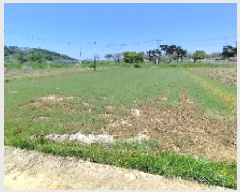  2025Ÿ15668 泲 ȫ ϸ  171-1      ()