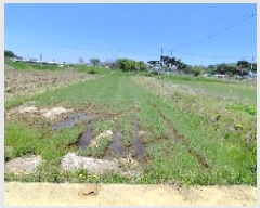  2025Ÿ15668 泲 ȫ ϸ  171-1      ()