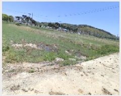  2025Ÿ15668 泲 ȫ ϸ  171-1      ()