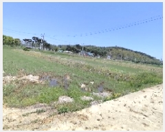  2025Ÿ15668 泲 ȫ ϸ  171-1      ()