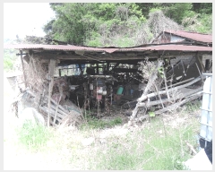  2025Ÿ15701 泲 걺  Ƽ 163-1      (1)