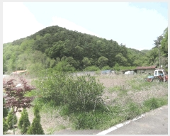  2025Ÿ15701 泲 걺  Ƽ 163-1      (1)