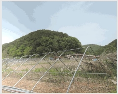  2025Ÿ15701 泲 걺  Ƽ 163-1      (1)