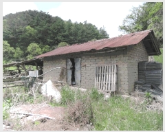  2025Ÿ15701 泲 걺  Ƽ 163-1      (1)