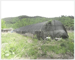  2025Ÿ15701 泲 걺  Ƽ 163-1      (1)