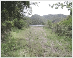  2025Ÿ15701 泲 걺  Ƽ 163-1      (1)