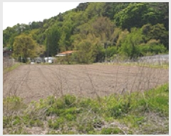  2025Ÿ15701 泲 걺  Ƽ 163-1      (1)