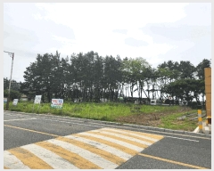  2025Ÿ15715 泲 õ  и 1412-1      ()