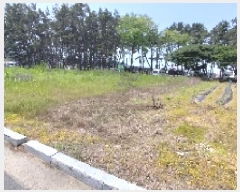  2025Ÿ15715 泲 õ  и 1412-1      ()