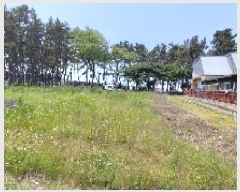  2025Ÿ15715 泲 õ  и 1412-1      ()