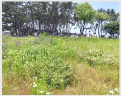  2025Ÿ15715 泲 õ  и 1412-1      ()