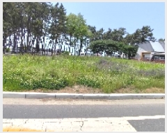  2025Ÿ15715 泲 õ  и 1412-1      ()