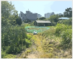  2025Ÿ��15722 �泲 ��õ�� ��õ�� �� 202-2      ����(����)���