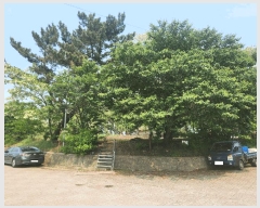  2025Ÿ��15728  ���������