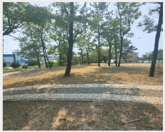  2025Ÿ��15728  ���������