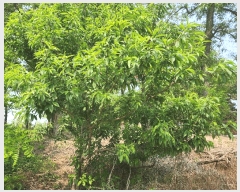  2025Ÿ��15728  ���������