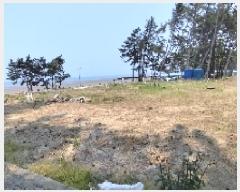  2025Ÿ��15728  ���������