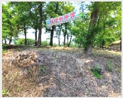  2025Ÿ��15728  ���������