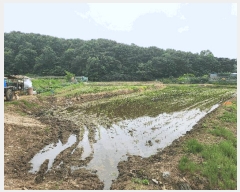  2025Ÿ��15733  ����