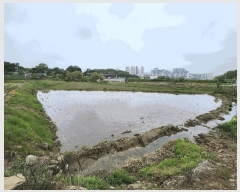  2025Ÿ��15733  ����