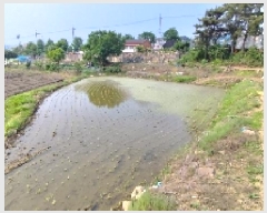  2025Ÿ��15733  ����