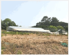  2025Ÿ��15742  �����