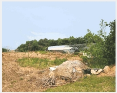  2025Ÿ��15742  �����