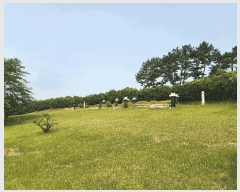  2025Ÿ��15742  �����