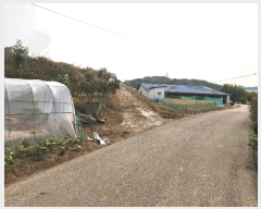  2025Ÿ��15742  �����