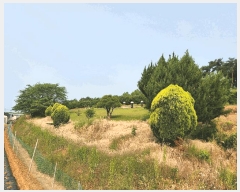  2025Ÿ��15742  �����