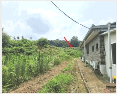  2025Ÿ��15803  ����