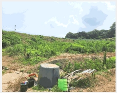  2025Ÿ��15803  ����