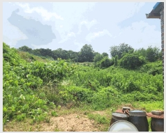  2025Ÿ��15803  ����