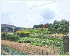  2025Ÿ��15803  ����