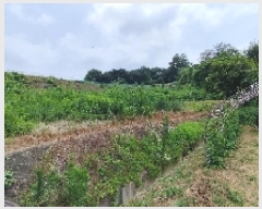  2025Ÿ��15803  ����