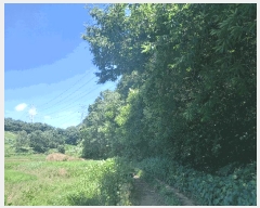  2025Ÿ��15816  �����