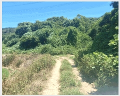  2025Ÿ��15816  �����