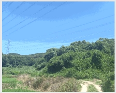  2025Ÿ��15816  �����