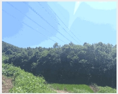  2025Ÿ��15816  �����