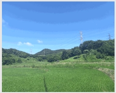  2025Ÿ��15816  �����