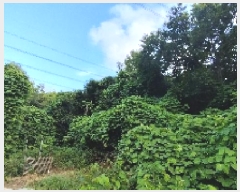  2025Ÿ��15816  �����