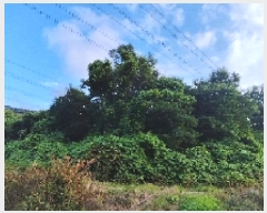  2025Ÿ��15816  �����