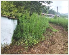  2025Ÿ��15876  �������