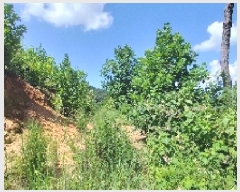  2025Ÿ��15887 �泲 ��õ�� �ѻ�� ���긮 ��2-1      ����(�Ӿ�)���