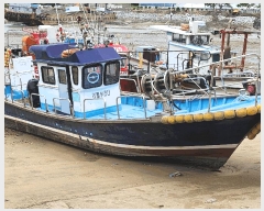  2025Ÿ��15931 �泲 ���ɽ� ��õ�� ���縮 ��â����      ���ڰ��