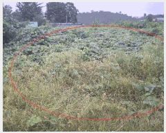  2025Ÿ��15982 �泲 ���걺 ����� ���踮 59-1      ����(����)���