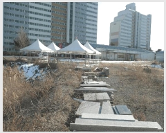  2025Ÿ194 泲   縮 262-1      ()