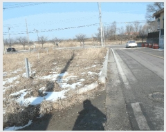  2025Ÿ194 泲   縮 262-1      ()