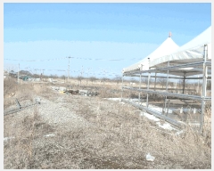  2025Ÿ194 泲   縮 262-1      ()