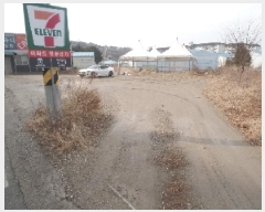  2025Ÿ194 泲   縮 262-1      ()